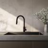 Pure.Sink Elite Steel Stream-S kitchen faucet Matte Black with pull-out spout PS8045-10