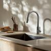 Pure.Sink Elite Steel Stream-S kitchen faucet PVD Gun Metal with pull-out spout PS8045-61