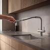 Pure.Sink Elite Steel Clear-S Stainless Steel 3-way Kitchen Tap with Retractable Spout and Filtered Water PS8120-02