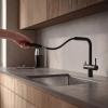 Pure.Sink Elite Steel Clear-S Matte Black 3-Way Kitchen Faucet with Pull-Out Spout and Filtered Water PS8120-10