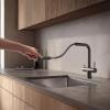 Pure.Sink Elite Steel Pulse-S Kitchen Faucet, PVD Gunmetal with Pull-Out Spout, PS8500-61